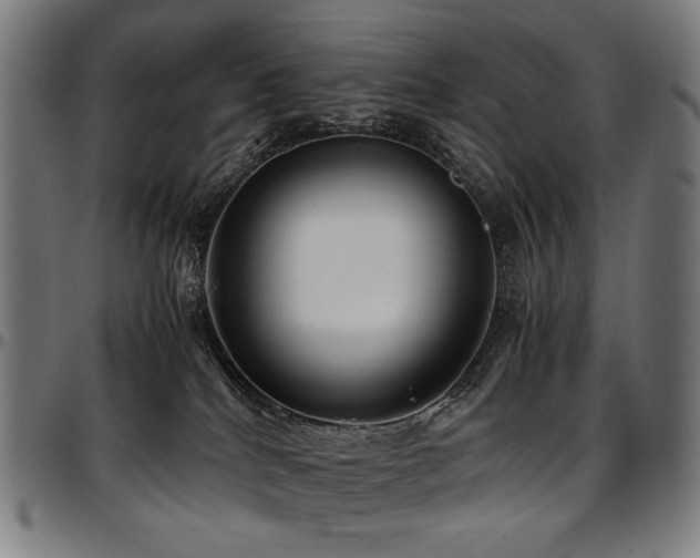 X0000097600040200802291254