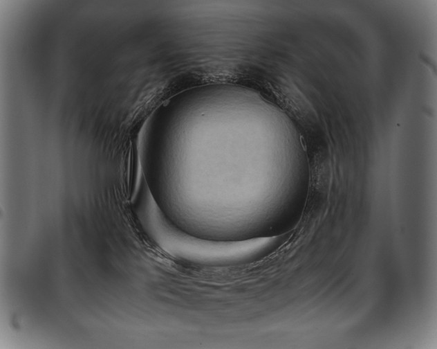 X0000097600041200802291254