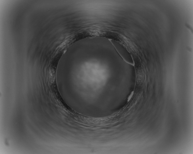 X0000097600043200802291254