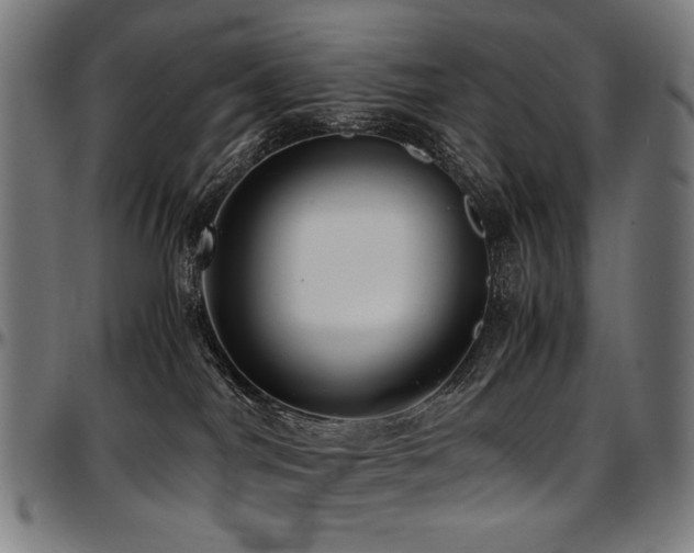 X0000097600044200802291254