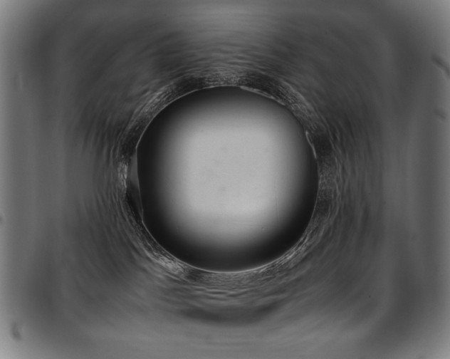 X0000097600045200802291254
