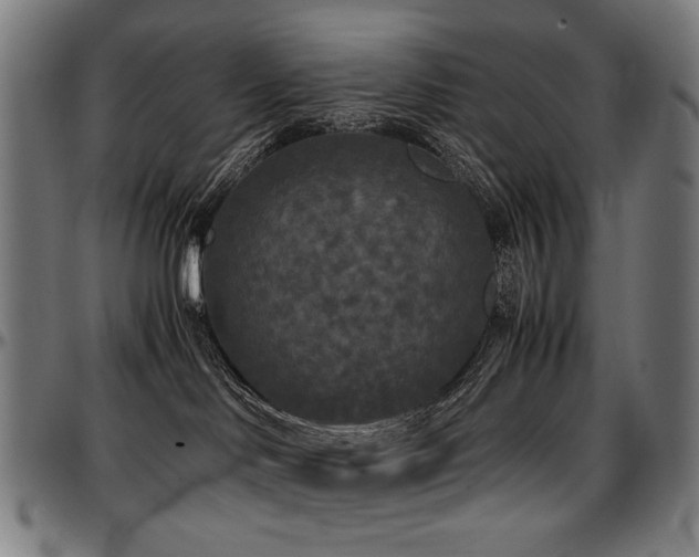 X0000097600046200802291254