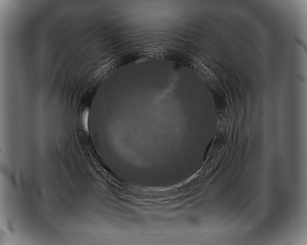 X0000097600047200802291254
