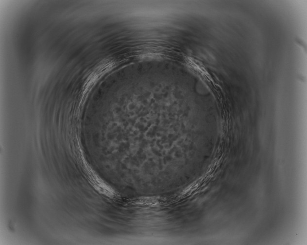 X0000097600049200802291253