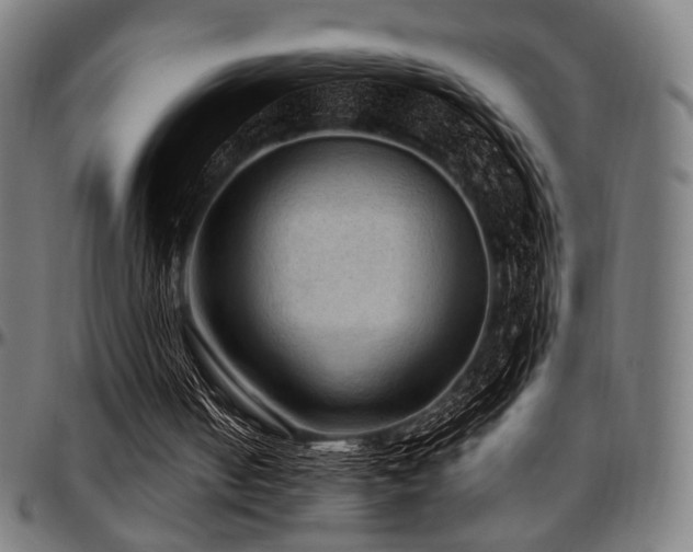 X0000097600050200802291253