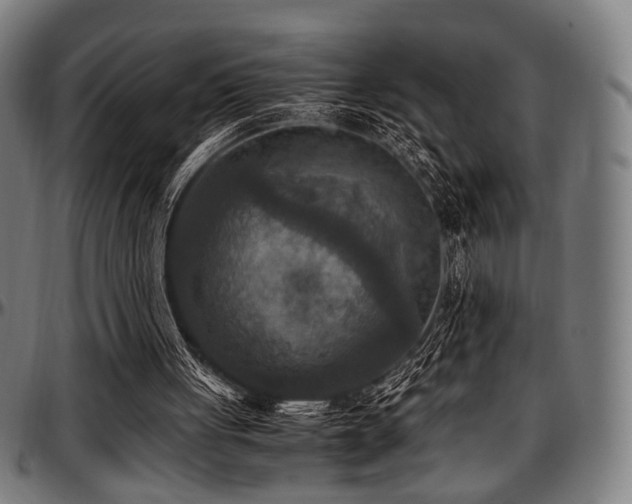 X0000097600051200802291253