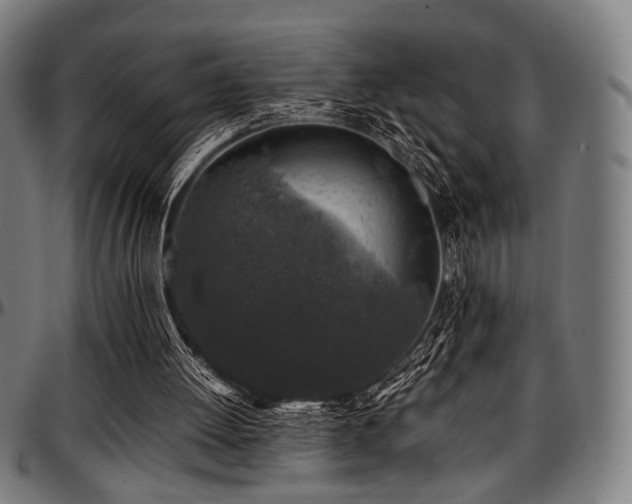 X0000097600052200802291253