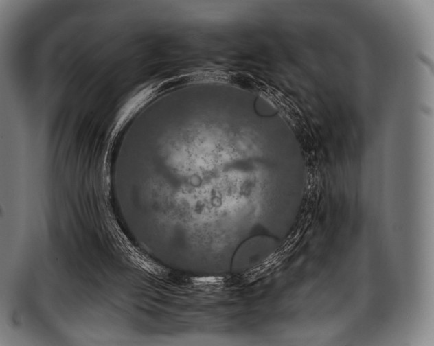 X0000097600053200802291253