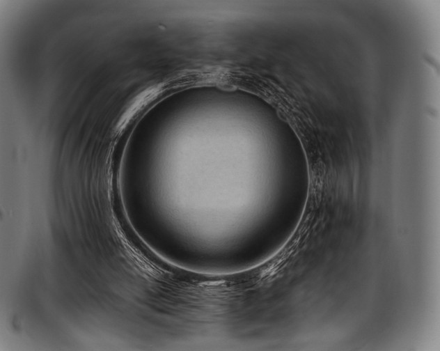 X0000097600054200802291253