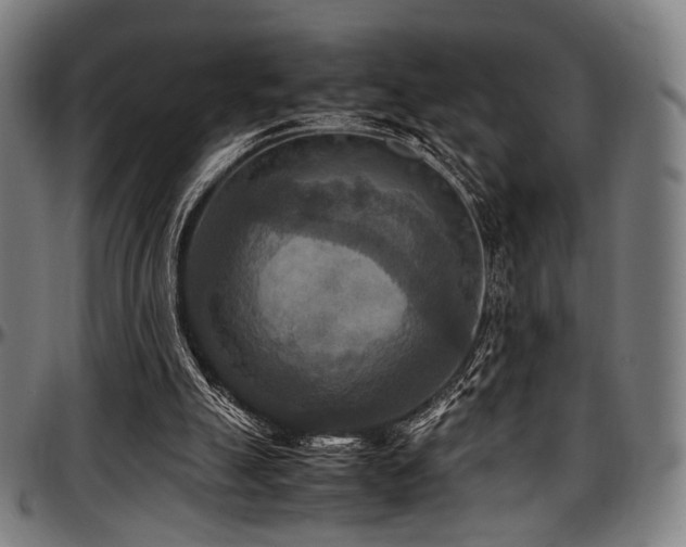 X0000097600055200802291253