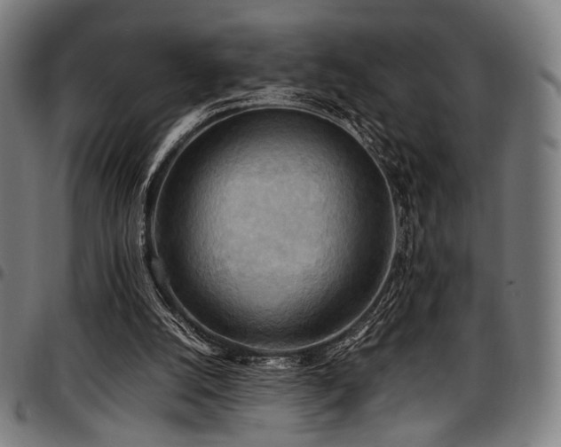 X0000097600056200802291253