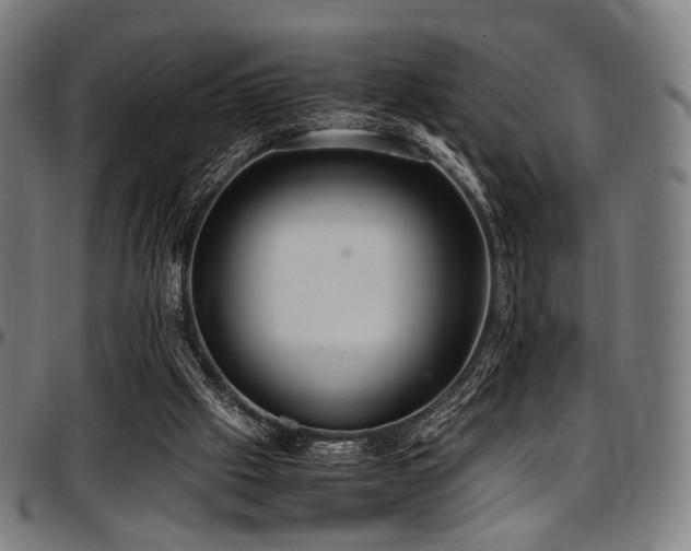 X0000097600057200802291253