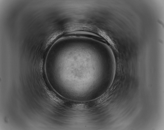 X0000097600058200802291253