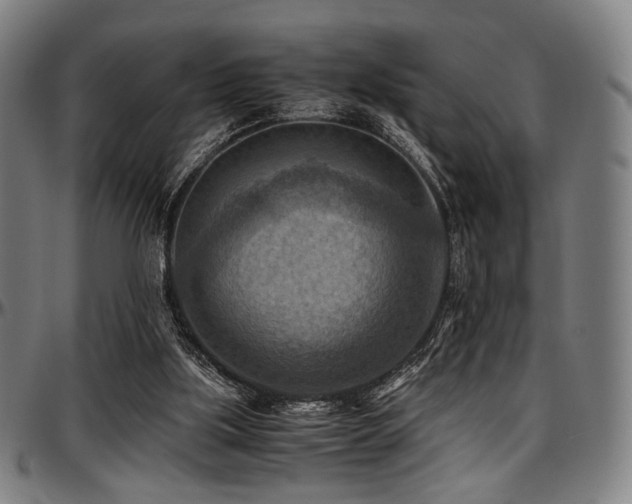 X0000097600059200802291253
