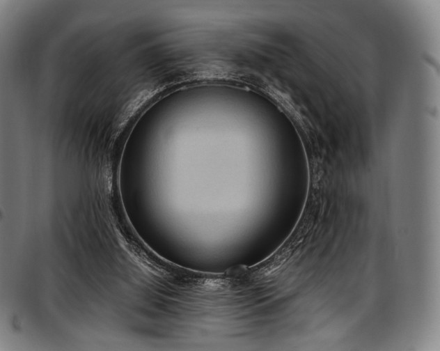 X0000097600060200802291253