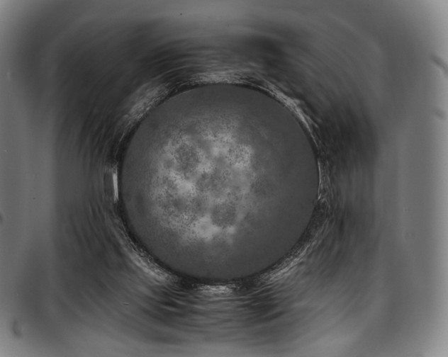 X0000097600061200802291253