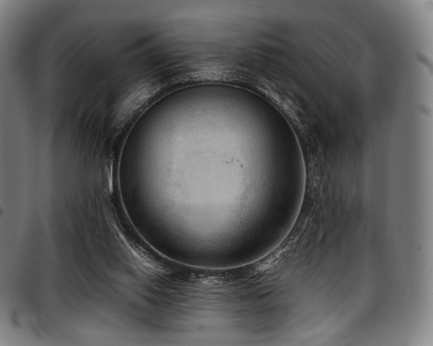 X0000097600062200802291253