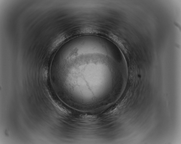 X0000097600063200802291253