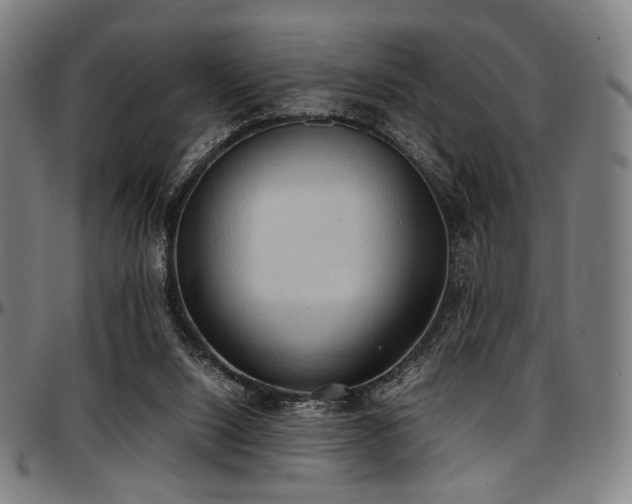 X0000097600064200802291253