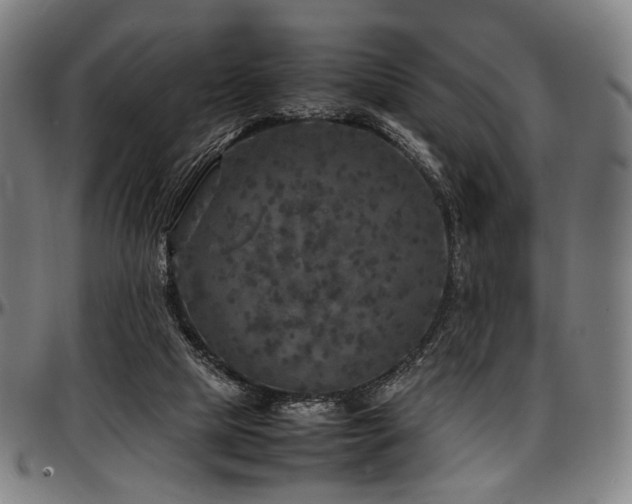 X0000097600065200802291253