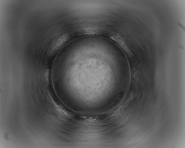 X0000097600066200802291253