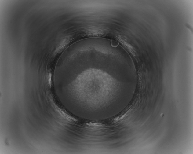 X0000097600067200802291253