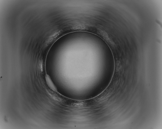 X0000097600068200802291253