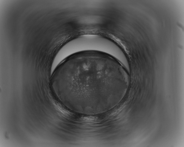 X0000097600069200802291253