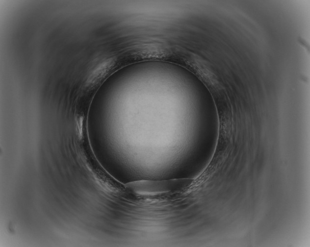 X0000097600070200802291253