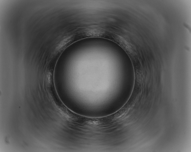 X0000097600071200802291253