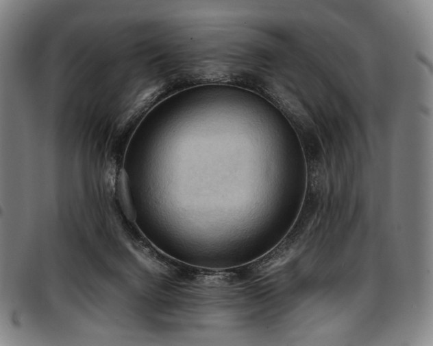 X0000097600072200802291253