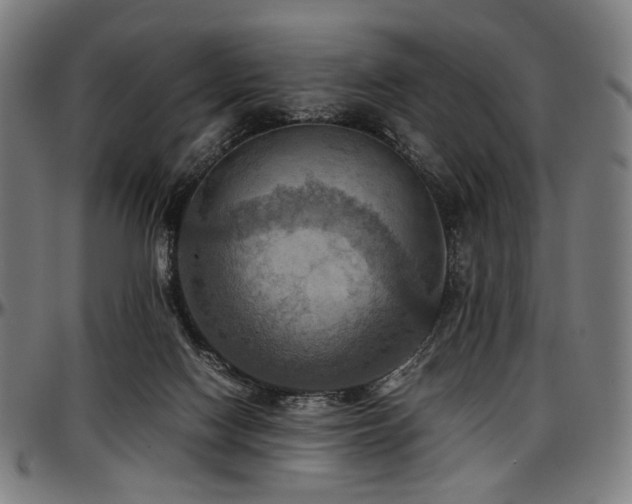 X0000097600074200802291253