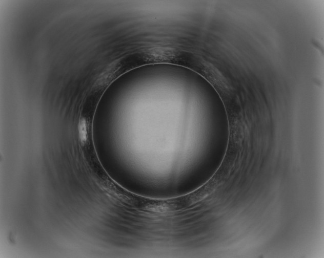 X0000097600075200802291253