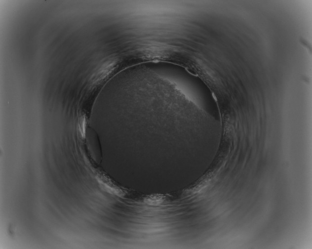 X0000097600076200802291253