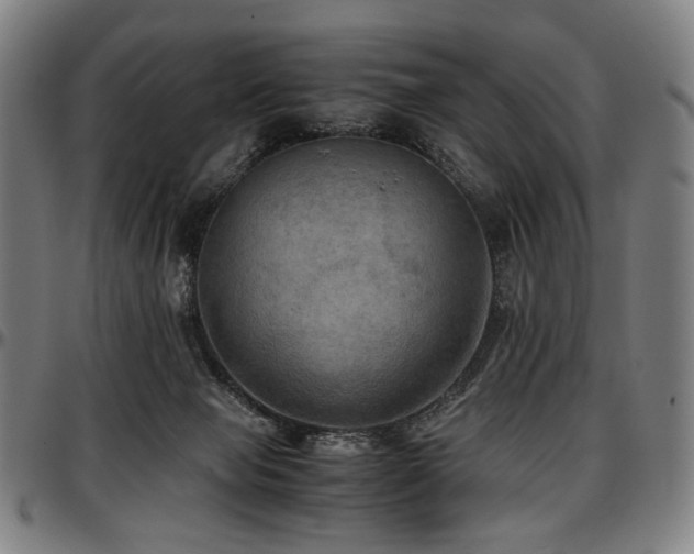 X0000097600077200802291253