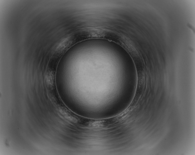 X0000097600078200802291253