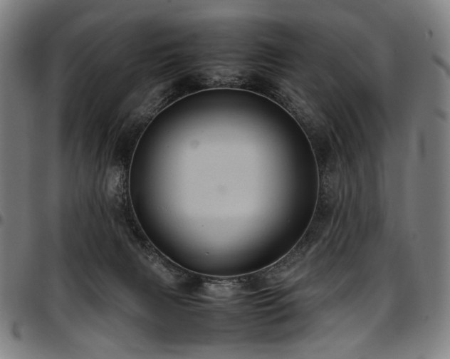 X0000097600079200802291253
