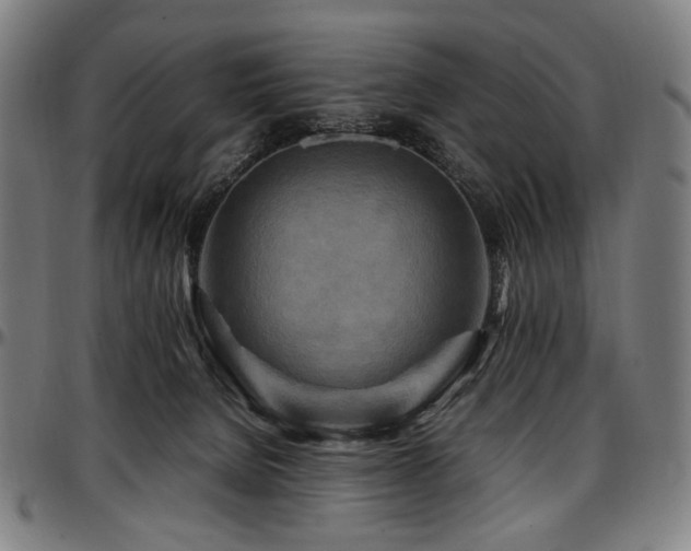 X0000097600080200802291253
