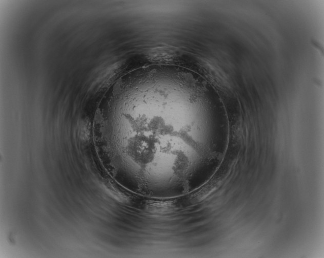 X0000097600081200802291253
