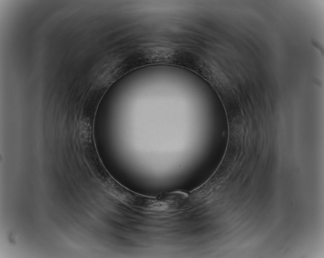 X0000097600083200802291253