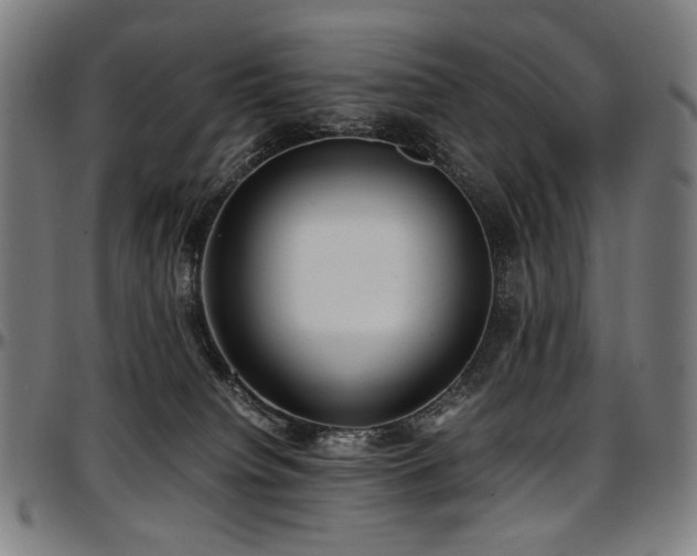 X0000097600084200802291253