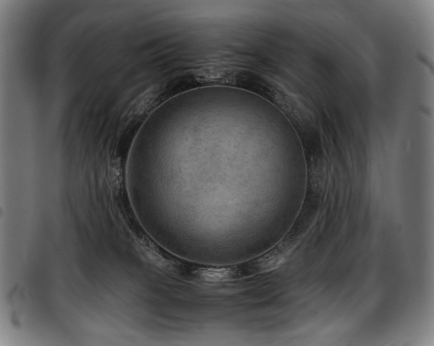 X0000097600085200802291253