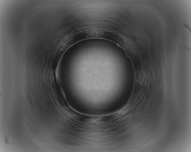 X0000097600086200802291253
