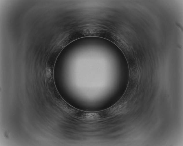 X0000097600087200802291253