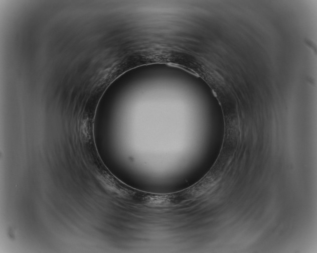 X0000097600088200802291253