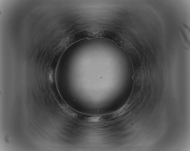 X0000097600090200802291253