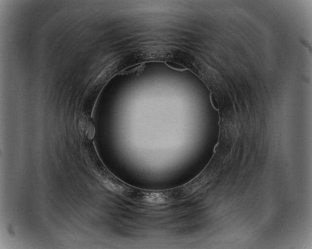 X0000097600091200802291253