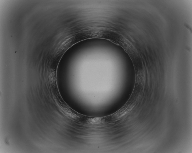 X0000097600092200802291253