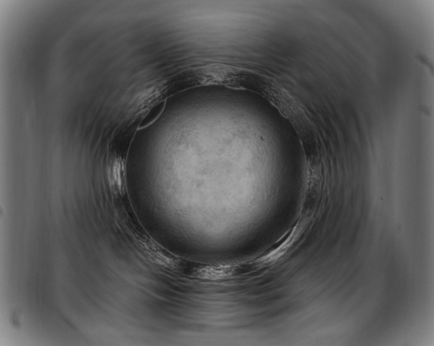 X0000097600094200802291254