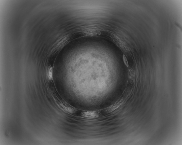 X0000097600095200802291254